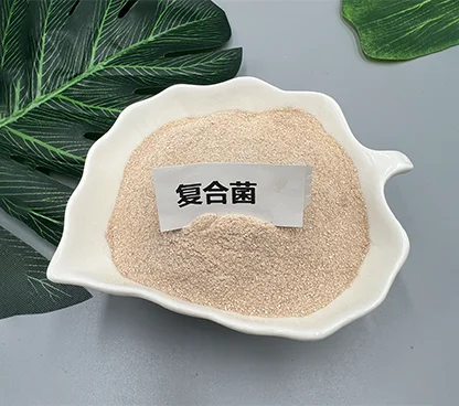 复合菌